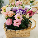 Eustoma Rosa Sem Espinhos💐Sementes de Lisanthus